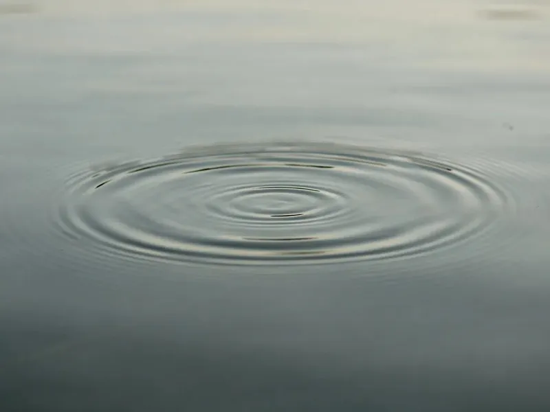 A still freshwater surface at dawn with a faint ring of ripples
